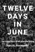 Cover: Twelve Days in June - Part III: Rosewater - Twelve Days in June