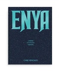 Cover: Enya: A Treatise on Unguilty Pleasures - Chilly Gonzales - Rough Trade Books