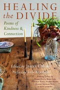 Cover: Healing the Divide - Green Writers Press