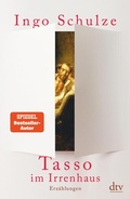 Cover: Tasso im Irrenhaus - dtv