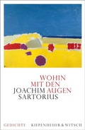 Cover: Wohin mit den Augen - Kiepenheuer & Witsch