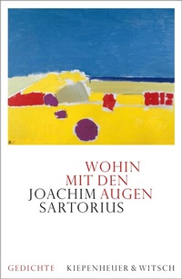 Abbildung von: Wohin mit den Augen - Kiepenheuer & Witsch