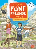 Cover: F&uuml;nf Freunde JUNIOR - Der unsichtbare Dieb - cbj