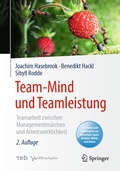 Cover: Team-Mind und Teamleistung - Springer