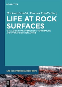 Bild: Life at Rock Surfaces - De Gruyter