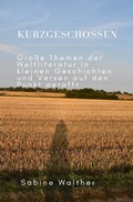 Cover: Kurzgeschossen - epubli