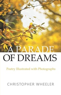 Enlarge image Cover: A Parade of Dreams - FriesenPress