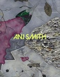 Enlarge image Cover: Anj Smith - New Art Gallery Walsall