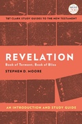 Cover: Revelation: An Introduction and Study Guide - T.& T.Clark Ltd