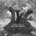 Cover: Olive Trees - Silvana