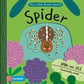 Cover: Spider - Campbell Books Ltd