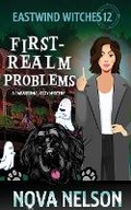 Cover: First-Realm Problems - Ffs Media