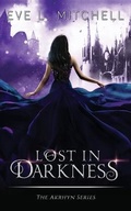 Cover: Lost in Darkness - Hudson Indie Ink