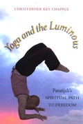 Cover: Yoga and the Luminous - State University of New York Press