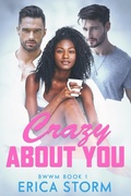 Cover: Crazy About You - Erica Storm