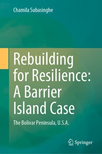 Abbildung von: Rebuilding for Resilience: A Barrier Island Case - Springer