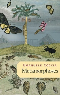 Enlarge image Cover: Metamorphoses - Wiley-Scrivener