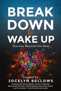 Cover: Break Down to Wake Up: Journey Beyond the Now - Dawn Publishing