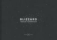Enlarge image Cover: Blizzard - ciconia ciconia
