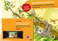 Cover: Bilderbuchkarten &raquo;Als das Faultier mit seinem Baum verschwand&laquo; von Oliver Scherz und Katja Gehrmann - Beltz Verlagsgruppe GmbH & Co. KG