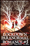 Cover: LOCKDOWN paranormal Romance #3 - Black Hare Press