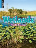 Cover: Wetlands - Lightbox