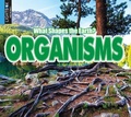 Cover: Organisms - Lightbox