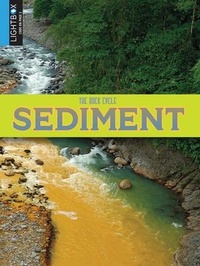 Enlarge image Cover: Sediment - Lightbox