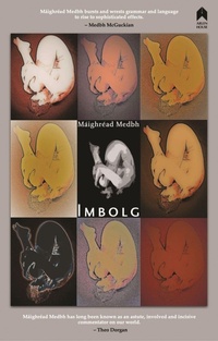 Enlarge image Cover: Imbolg - Arlen House