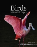 Cover: Birds - Orange Frazer Press