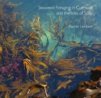 Abbildung von: Seaweed Foraging in Cornwall and the Isles of Scilly - Alison Hodge