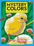 Cover: Mystery Colors: Birds - Centennial Books