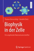 Cover: Biophysik in der Zelle - Springer Spektrum