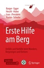 Cover: Erste Hilfe am Berg - Springer