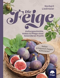 Abbildung von: Die Feige - Freya