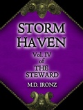 Cover: Storm Haven (THE STEWARD, #4) - Professorial Holdings