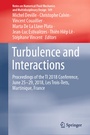 Cover: Turbulence and Interactions - Springer