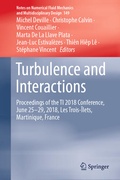 Cover: Turbulence and Interactions - Springer