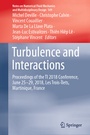 Cover: Turbulence and Interactions - Springer