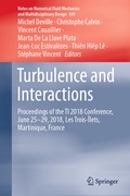 Cover: Turbulence and Interactions - Springer
