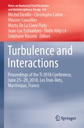 Cover: Turbulence and Interactions - Springer