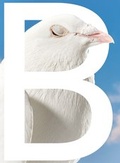 Cover: B-SIDES - Nova MD
