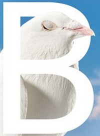 Enlarge image Cover: B-SIDES - Nova MD