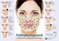 Cover: Poster-Pathophysiognomik - mgo fachverlage