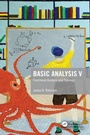 Cover: Basic Analysis V - CRC Press