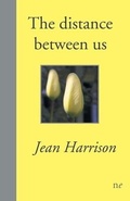 Cover: The distance between us - Naked Eye Publishing
