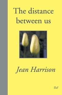 Enlarge image Cover: The distance between us - Naked Eye Publishing
