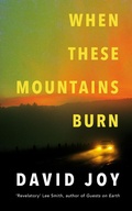 Cover: When These Mountains Burn - Mountain Leopard Press