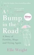 Cover: A Bump in the Road - Lagom