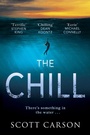 Cover: The Chill - Mountain Leopard Press
